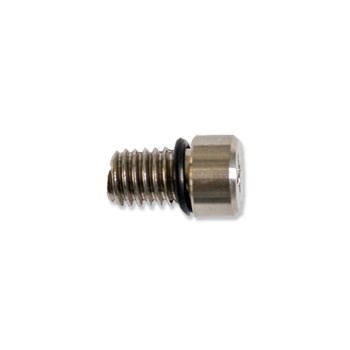 Airvalve Screw + Rubber Ring